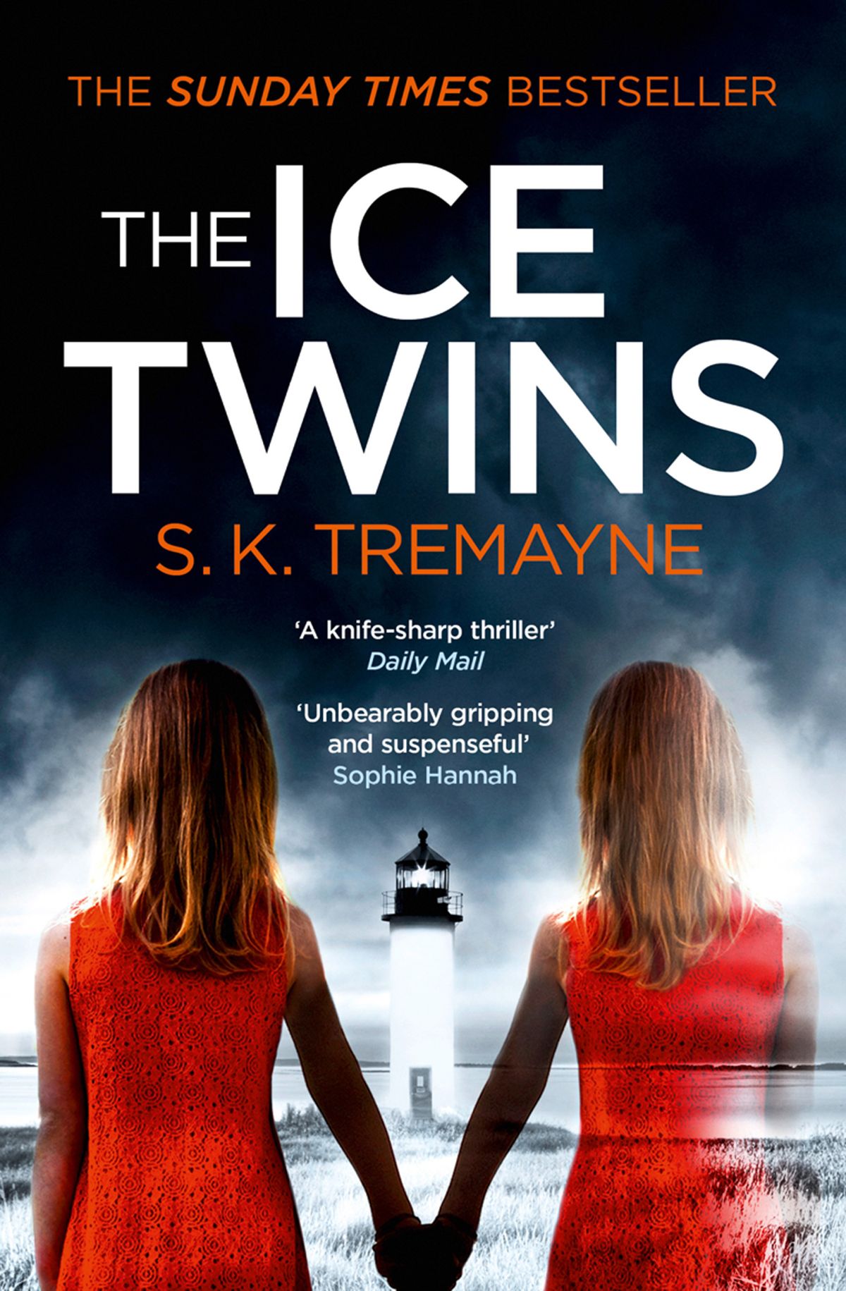 The Ice Twins book cover